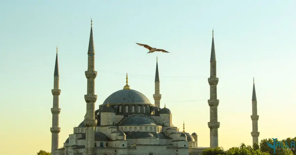 الهجرة الى تركيا